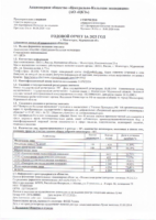 Годовой отчет за 2025 год